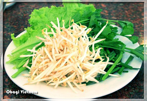 Giá đỗ