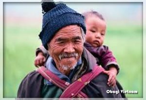 Tình cảm gia đình