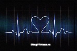 Thảo dược bảo vệ trái tim