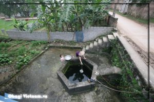 Lòng tham không đấy