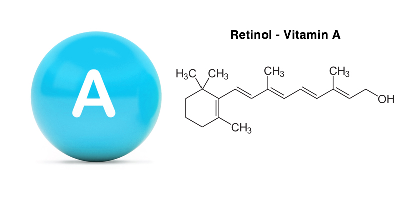 Hình. Retinol và dẫn xuất vitamin A