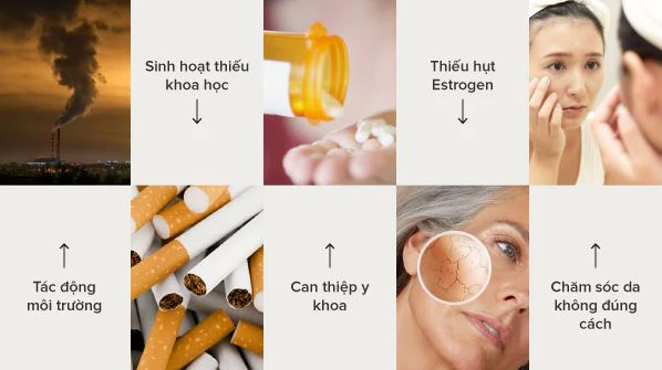 Hình: Yếu tố đẩy nhanh quá trình lão hóa da
