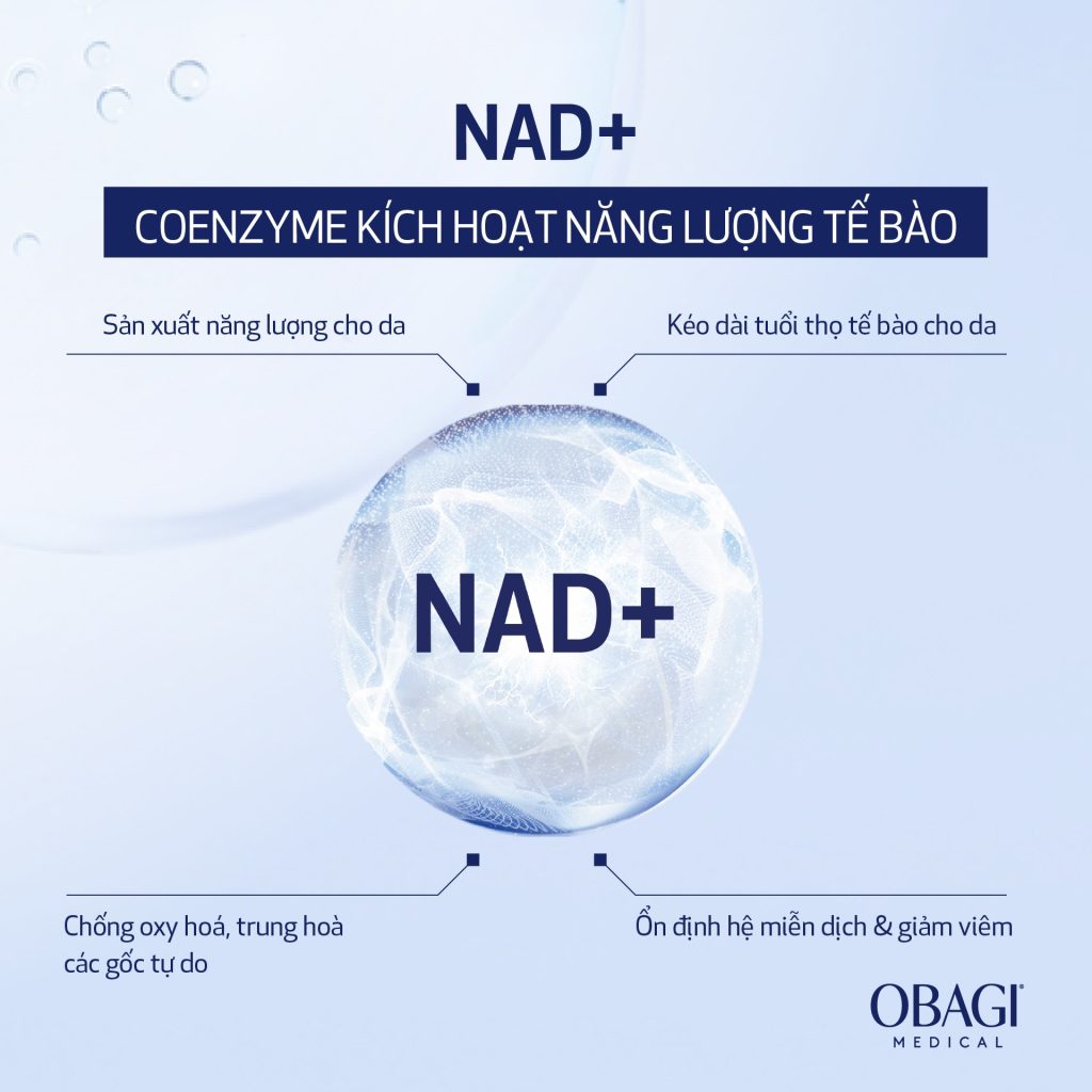 Hình: Công dụng NAD+ 
