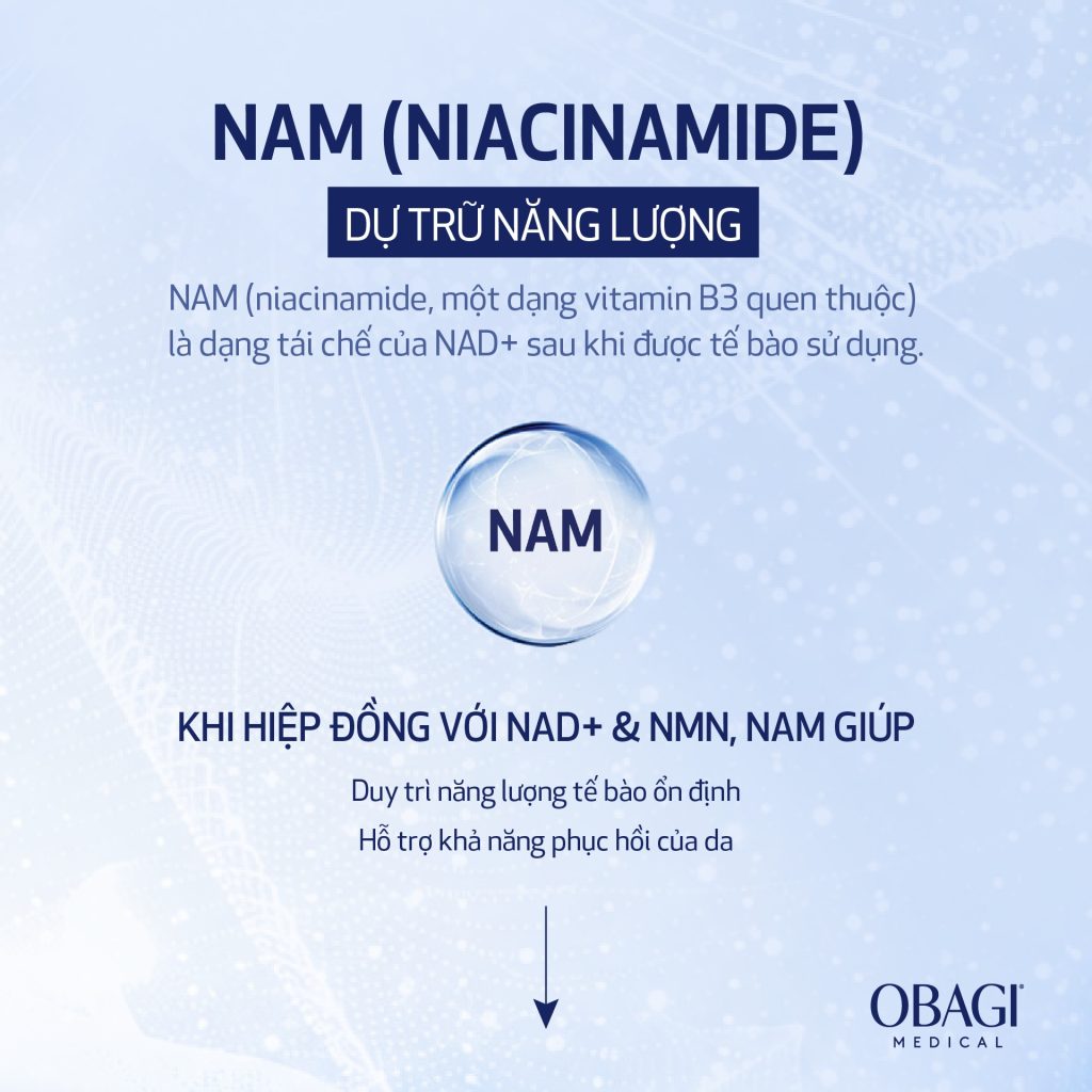 Hình: Công dụng NAM