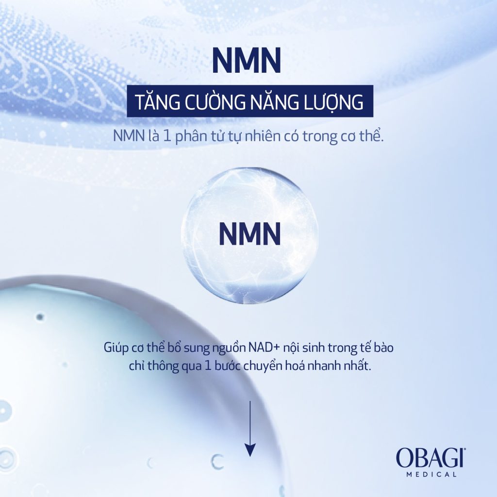 Hình: Công dụng NMN