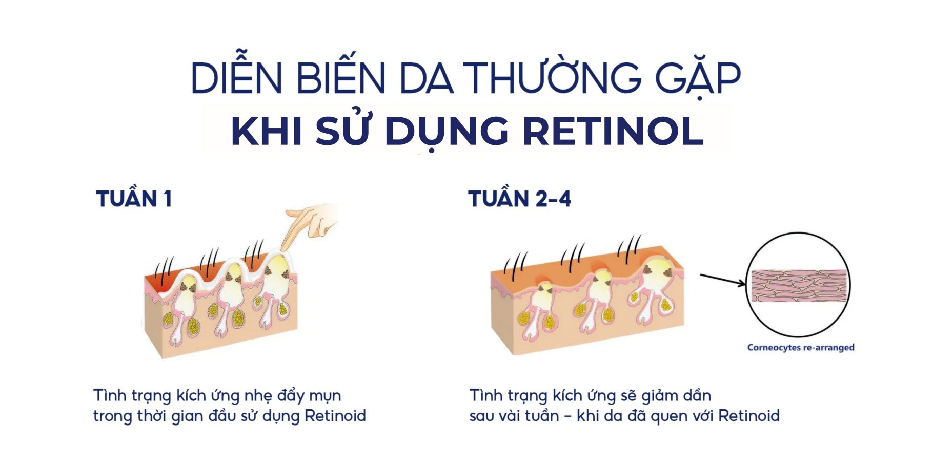 Obagizo.vn